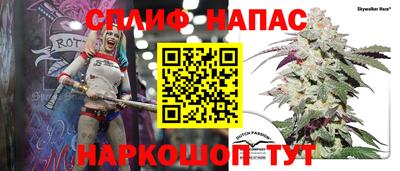 гидра Вязьма