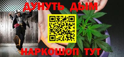 гидра Вязьма