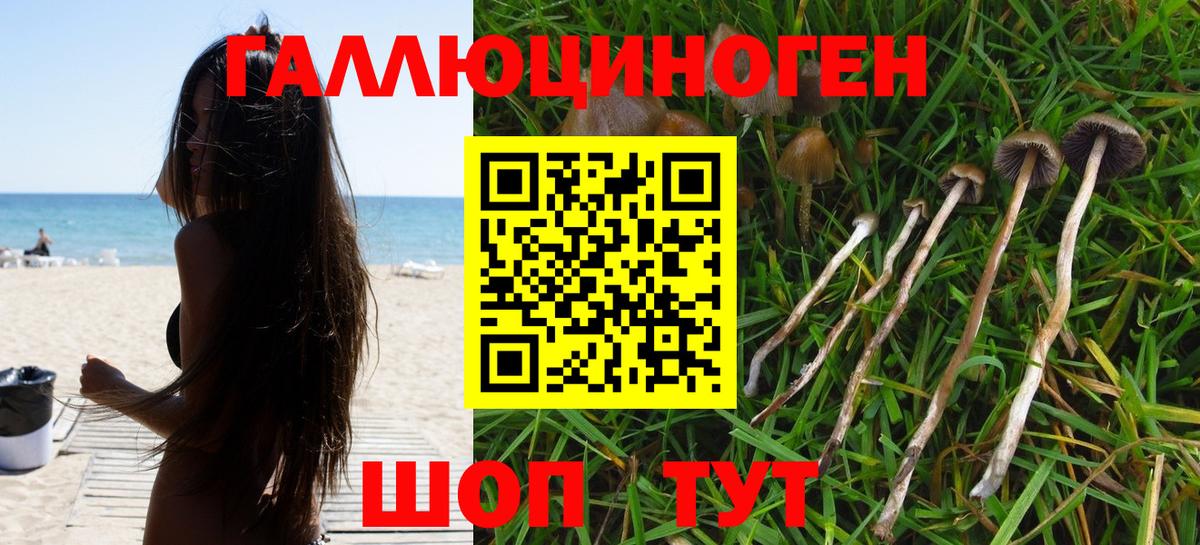 Новороссийск  Галлюциногенные грибы мухоморы  Галлюциногенные грибы мухоморы  Вход с VPN 