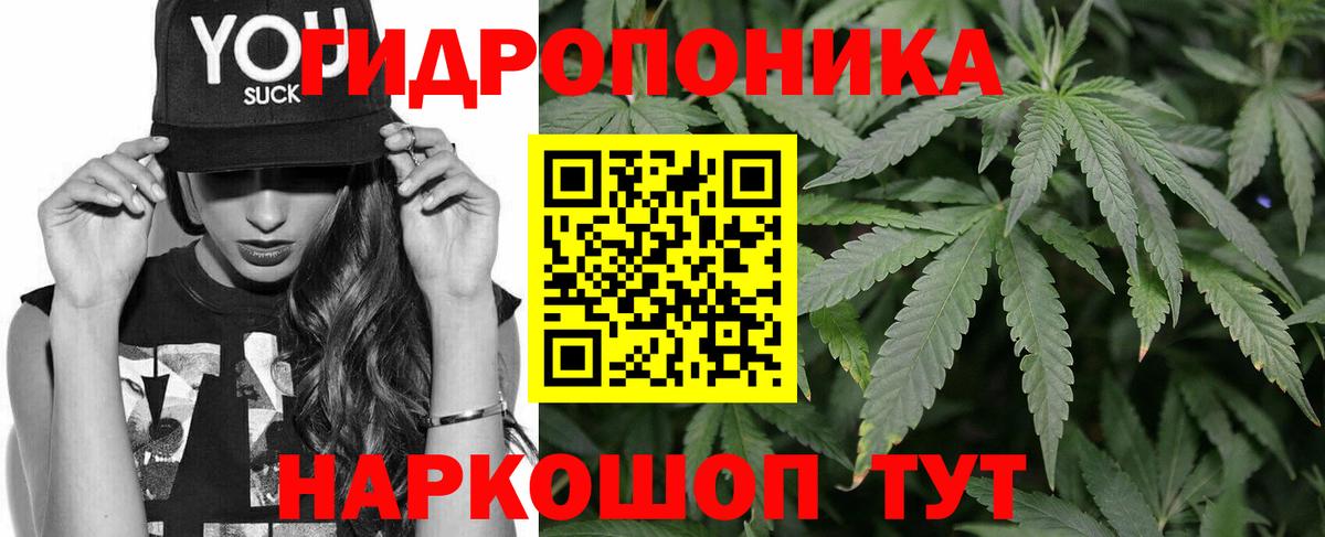 Конопля AK-47  Вход с VPN  МАРИХУАНА SATIVA & INDICA  Новороссийск  Бошки марихуана Ganja 